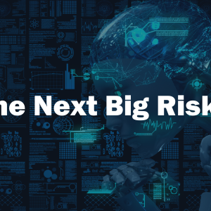 Three Wall Street Executives on 'The Next Big Risk'