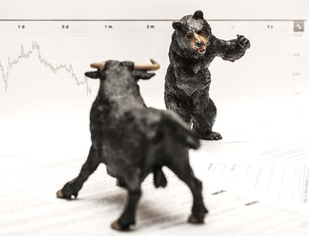 Bull vs Bear Investing
