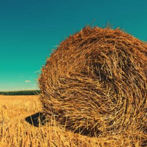 Investing in Index Funds: A Guide to the Haystack Concept