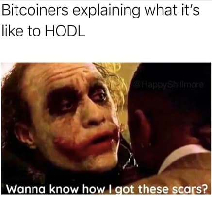 Bitcoiners explaining meme