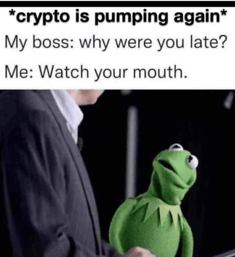 Crypto is pumping again Meme