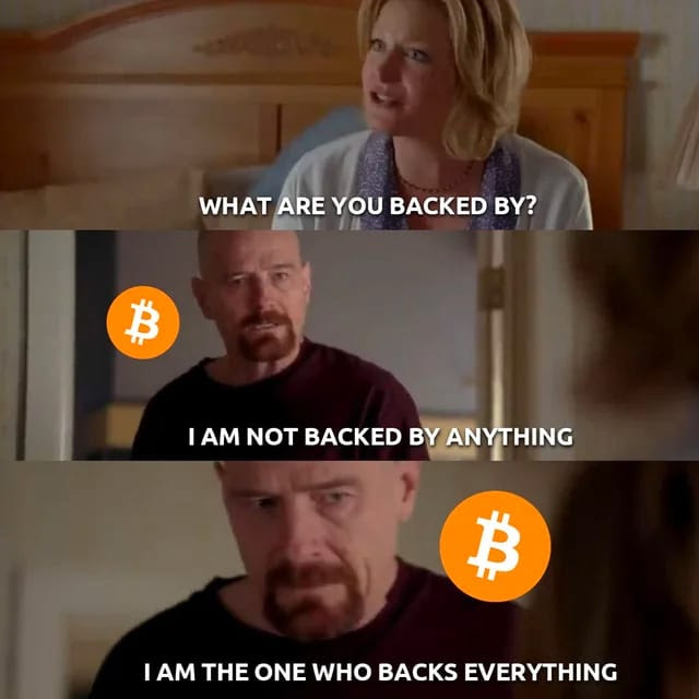 what are you backed by? - meme