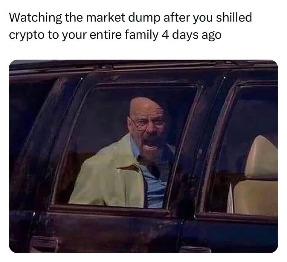Watching the market dump after you shilled crypto meme
